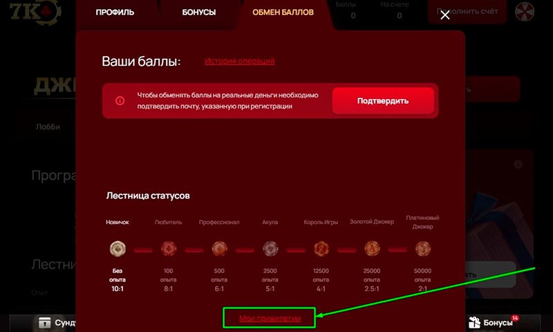 Ссылка на промо